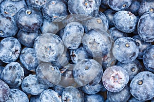 Blueberries berries fruits blueberry berry bilberry bilberries fruit background