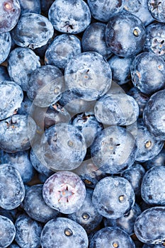 Blueberries berries fruits blueberry berry bilberry bilberries fruit background portrait format