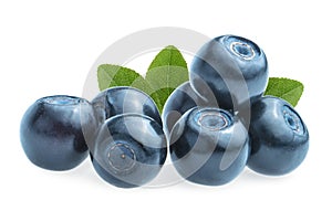 Blueberries bilberries isolated on white background