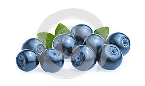 Blueberries & x28;bilberries& x29; isolated on white background