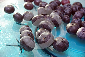 Blueberries of blue glass plate