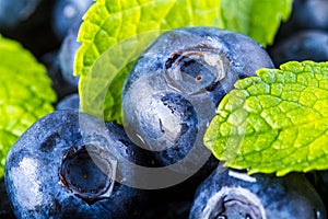 Blueberries