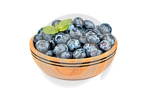 Blueberries in bowl