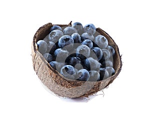 Blueberries in coconut shell isolated on white background. Blueberries  in bowl isolate. Background berries. Various summer berrie