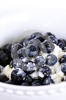 Blueberries and Cottage Cheese in a White Bowl