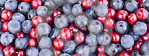 Blueberries and cowberries cranberry