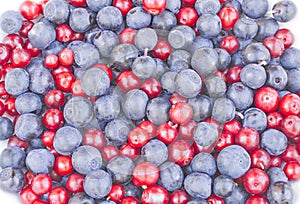 Blueberries and cowberries cranberry
