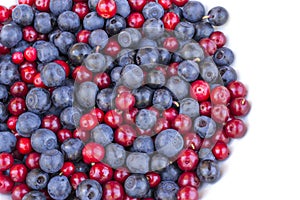 Blueberries and cowberries cranberry