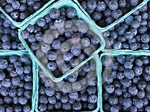 Blueberries in Cyan Color Container