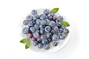 Blueberries in a dish