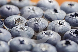 Blueberries