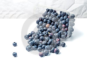 Blueberries, Huckleberry Isolated