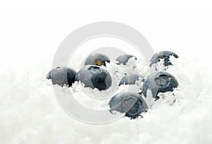 Blueberries in ice