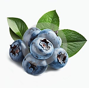 Blueberries isolate on white background.