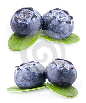 Blueberries