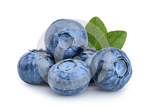 Blueberries isolated on white background