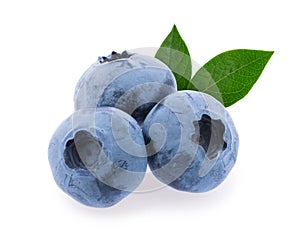 Blueberries isolated on white background with clipping path without shadow