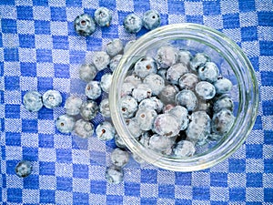 Blueberries in a jar on a checkered towel.