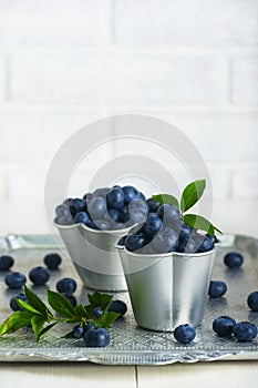 Blueberries with leaves in aluminum cups