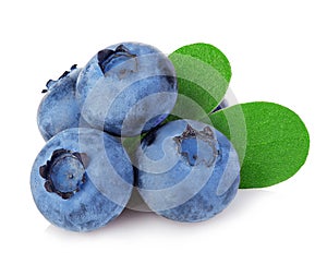 Blueberries with leaves close-up isolated on a white.