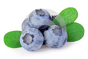 Blueberries with leaves close-up isolated on a white.