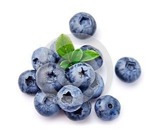 Blueberries with leaves