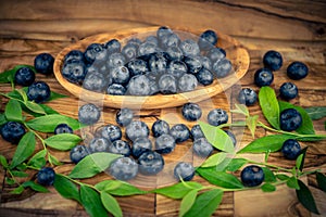 blueberries on olivewood