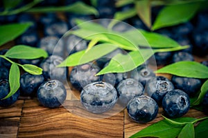 blueberries on olivewood
