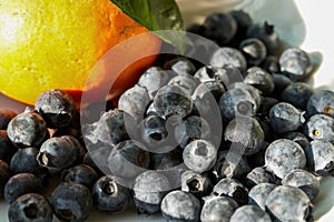 Blueberries and oranges close-up in the sun