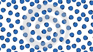 Blueberries pattern illustration.