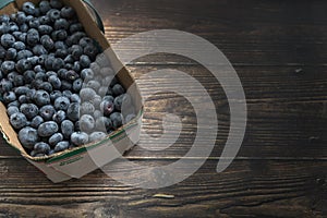 Blueberries in a picking basket