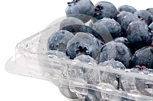 Blueberries in a plastic container