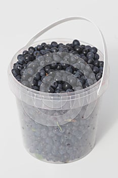 Blueberries in a plastic container