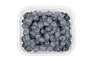Blueberries in a plastic container