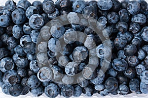 Blueberries in a plastic container isolated on a white background