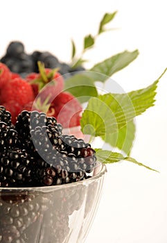 Blueberries, raspberries and blackberries