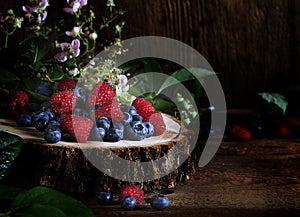 Blueberries and Raspberries on cut Log