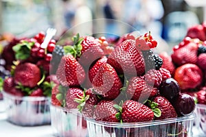 Blueberries, raspberries, strawberries, cherries Forest fruits. Gardening ,agriculture,harvest and forest concept.