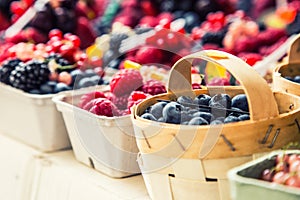 Blueberries, raspberries, strawberries, cherries Forest fruits. Gardening ,agriculture,harvest and forest concept.