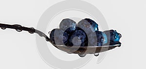 Blueberries on a Spoon