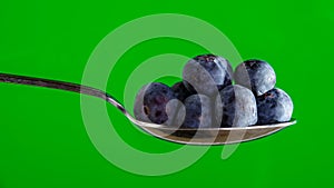 Blueberries on a Spoon