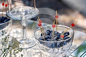 Blueberries stand in a glass plate. Background with modern designed glass stand.