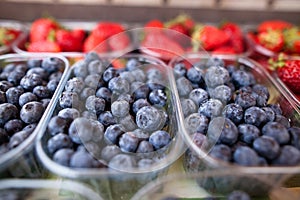 Blueberries and strawberries