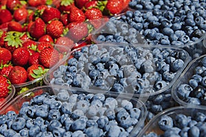 Blueberries and strawberries at the market.