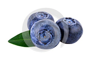 Blueberries three on white with clipping path