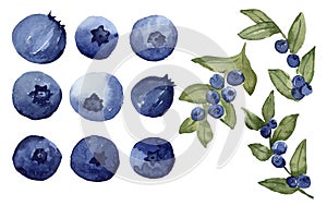 Blueberries watercolor set illustration