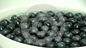 Blueberries in a white dish