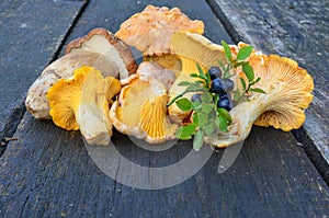 Blueberries and wild mushrooms