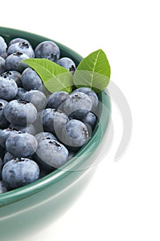 Blueberries from the wood in a bowl isolated