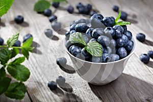 Blueberry photo